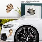 3D stickers with cats and dogs that can be removed