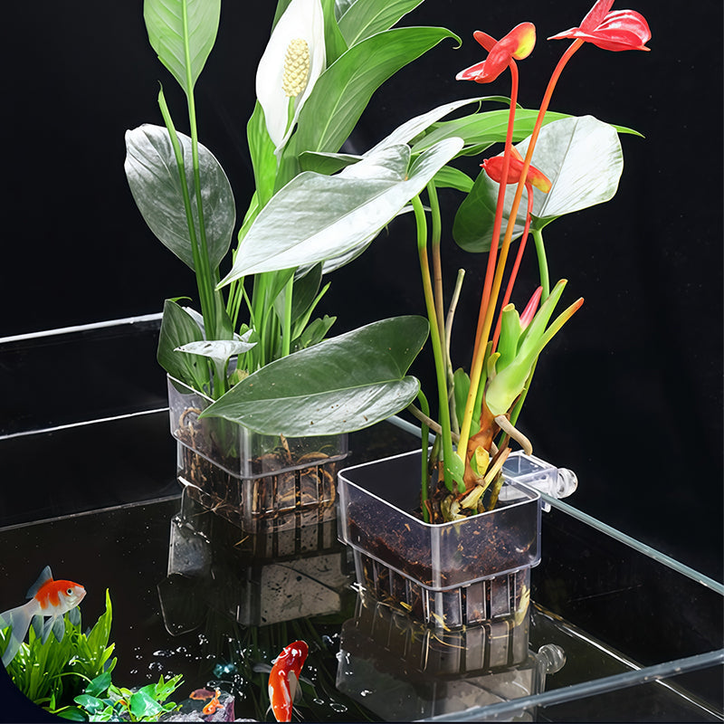 Hanging aquarium plant holder