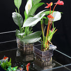 Hanging aquarium plant holder