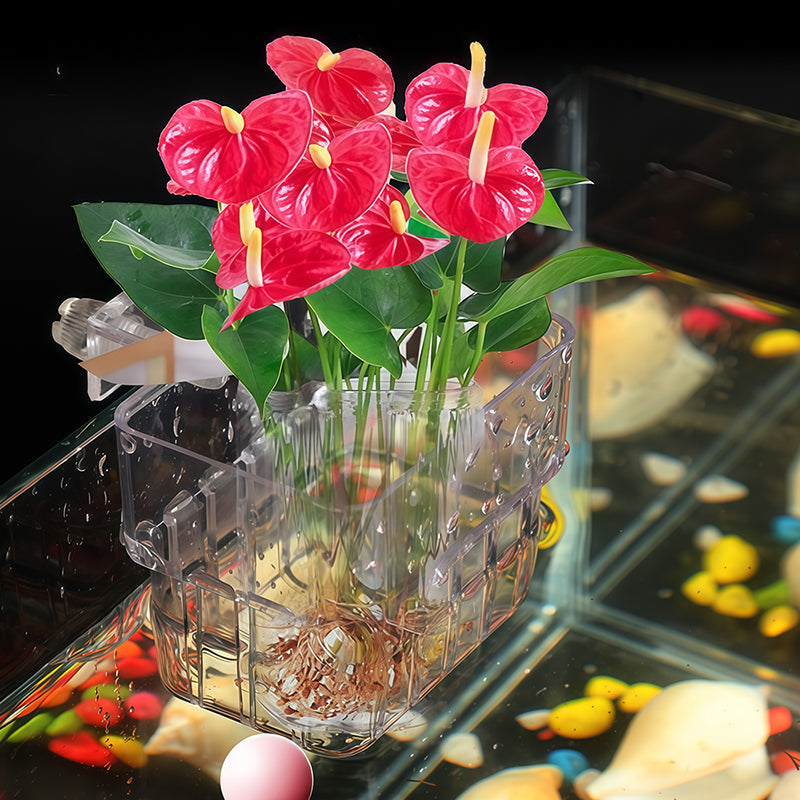 Hanging aquarium plant holder