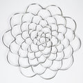 Stainless steel flower grid organizer️