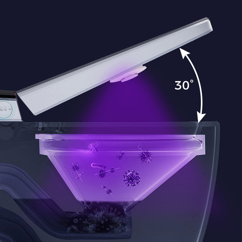 UV toilet sterilization lamp set