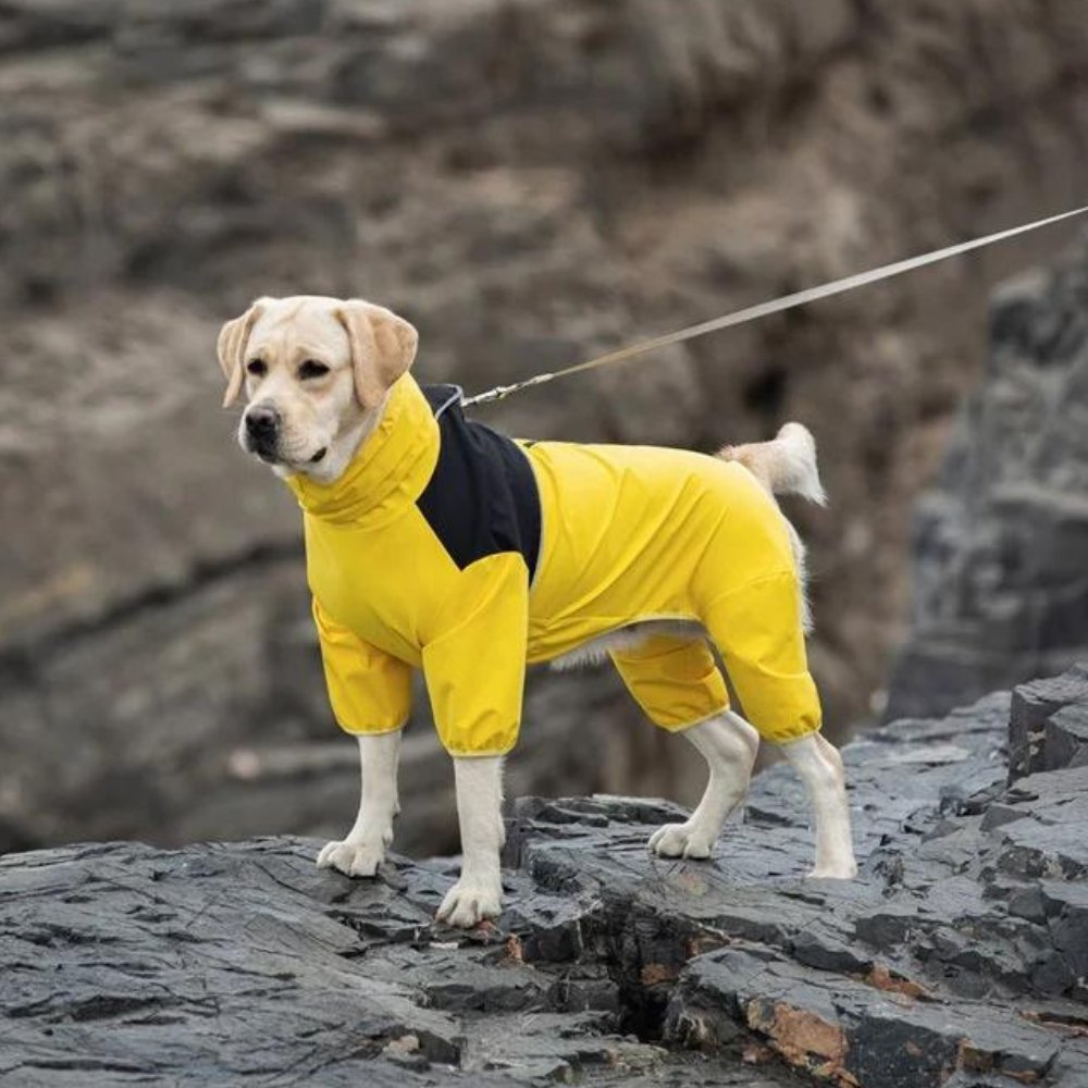 StormGuard - Dog Waterproof Raincoat