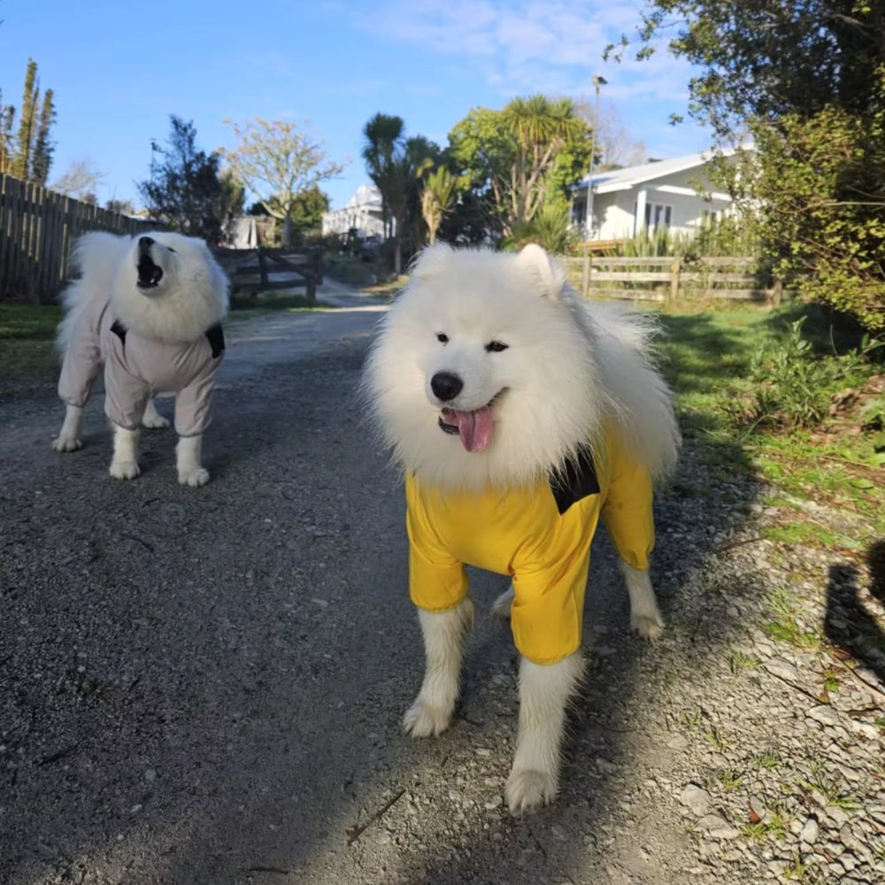 StormGuard - Dog Waterproof Raincoat