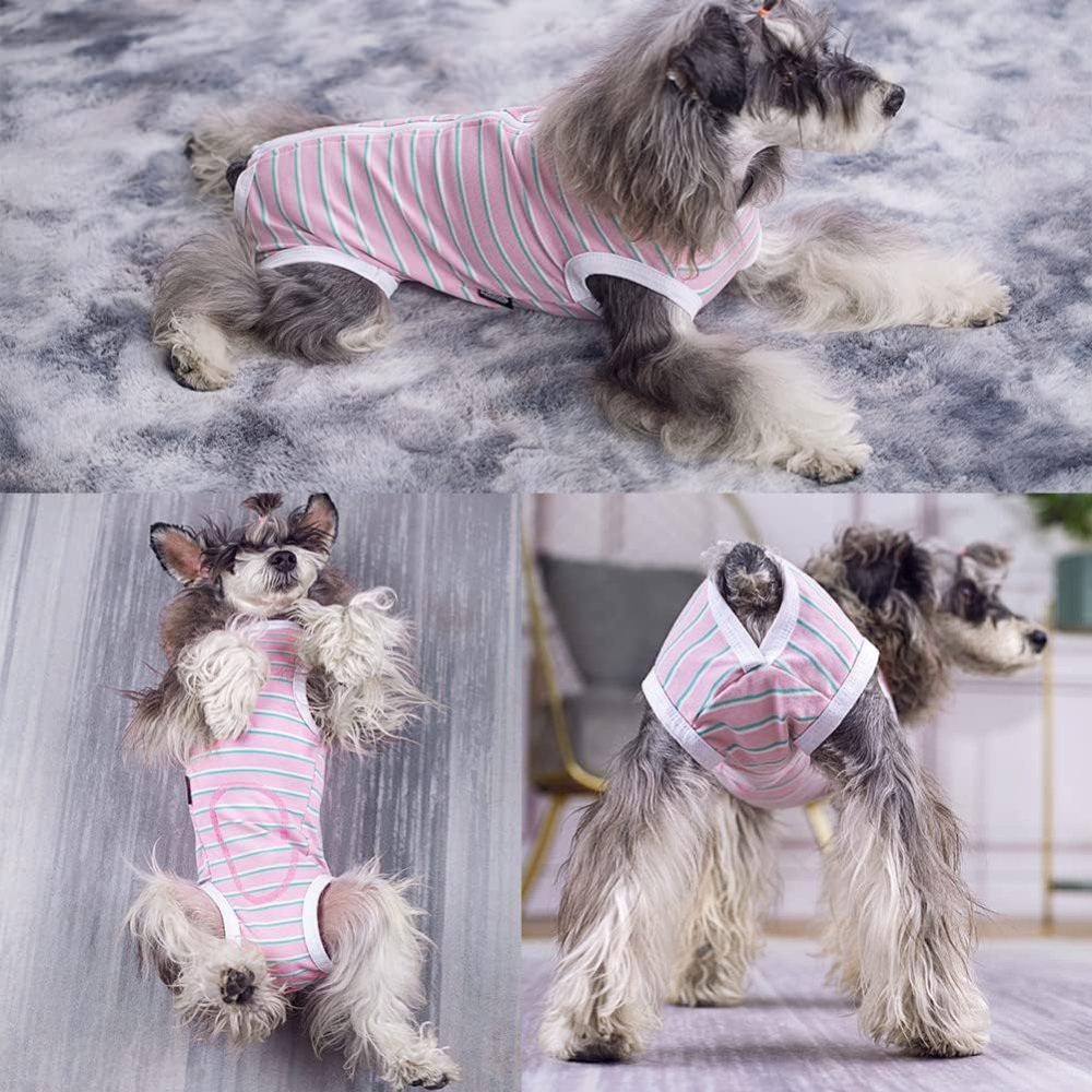 StripeGuard - Dog Recovery Suit for Post-Surgery Care