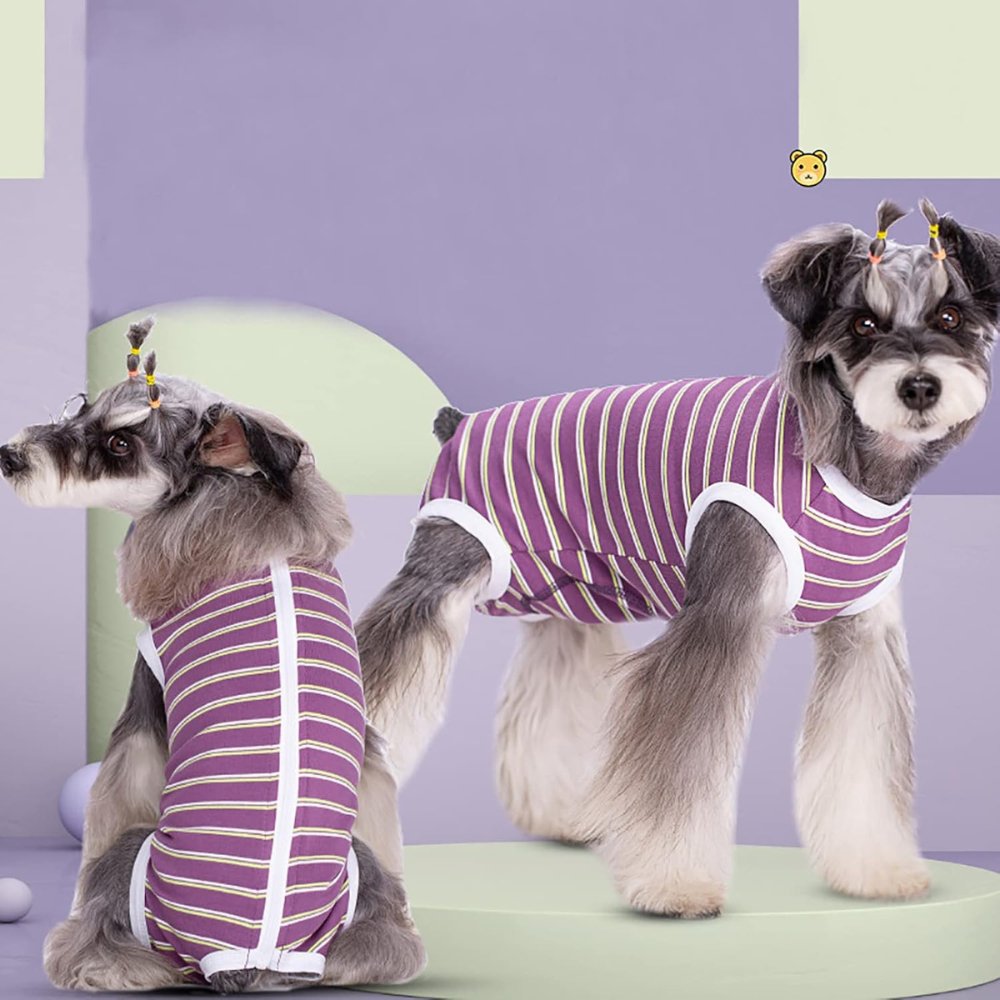 StripeGuard - Dog Recovery Suit for Post-Surgery Care
