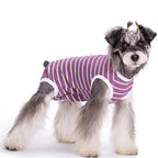 StripeGuard - Dog Recovery Suit for Post-Surgery Care