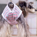 StripeGuard - Dog Recovery Suit for Post-Surgery Care