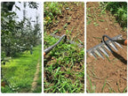 GardenBuddy | Effortless gardening