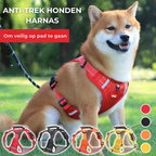 Sturdy & Comfortable Dog Harness - ActivePup™