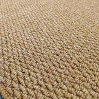 Absorbent Non-Slip Indoor Mat for Entrance and Hallways