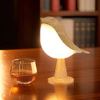 Stylish Lighting and Aromatherapy in One - AeroLight