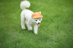 Stylish Round Brim Dog Hat - SunnyPaws