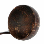 Sustainable Coconut Shell Food Containers - TropiBowl
