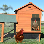 Automatic Chicken Coop Door Opener with Timer and Light Sensor