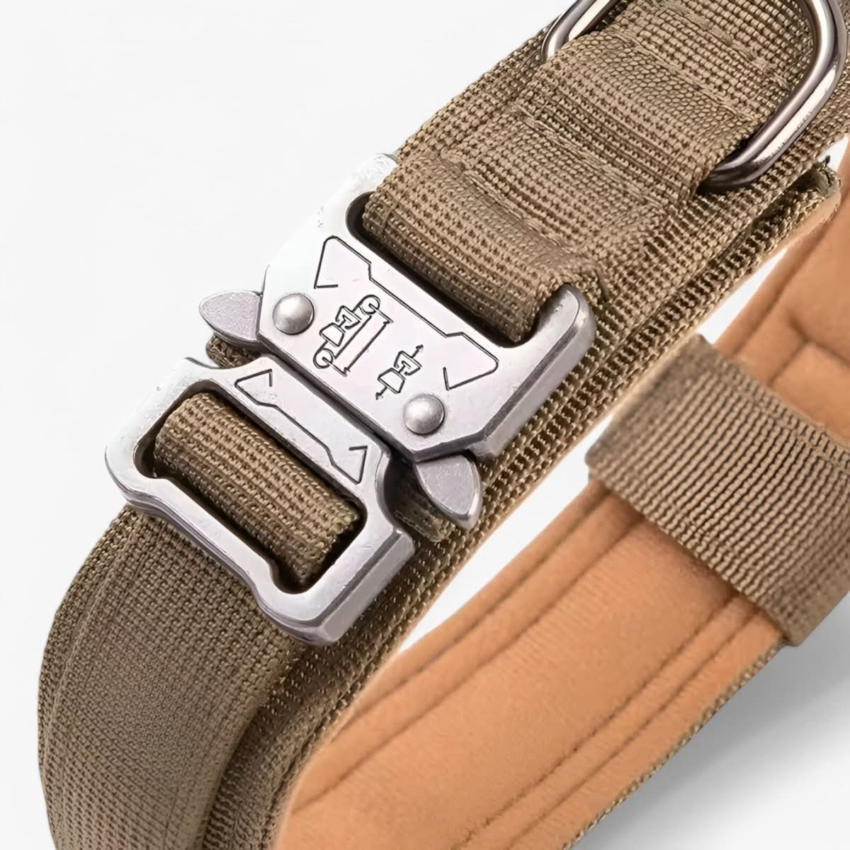 Adjustable Dog Collar Set for Adventures and Daily Training