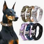 Adjustable Dog Collar Set for Adventures and Daily Training