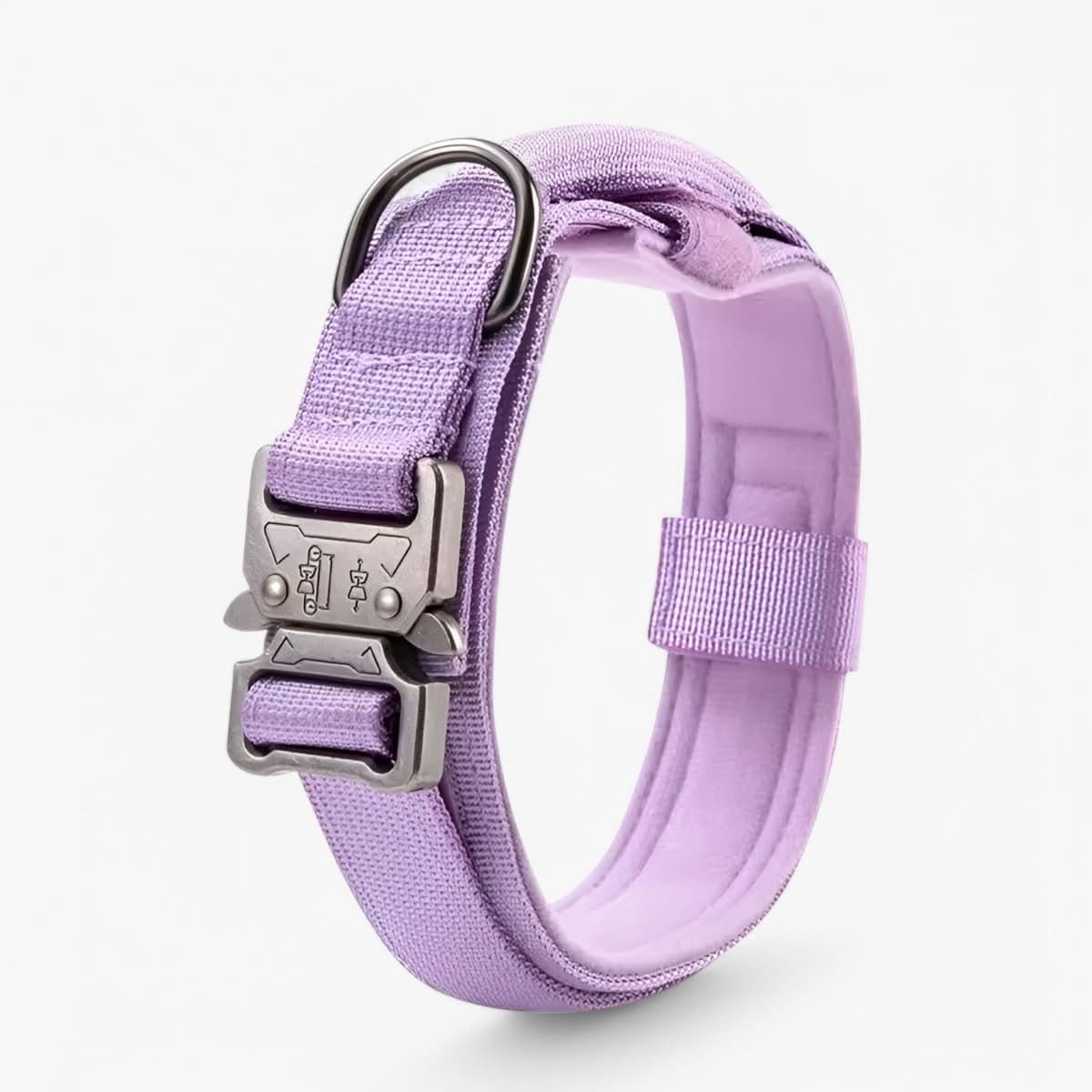 Adjustable Dog Collar Set for Adventures and Daily Training