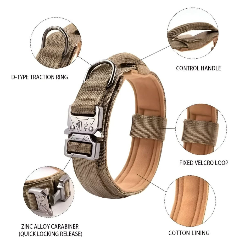 Adjustable Dog Collar Set for Adventures and Daily Training