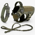 Adjustable Dog Harness for Safe and Comfortable Training