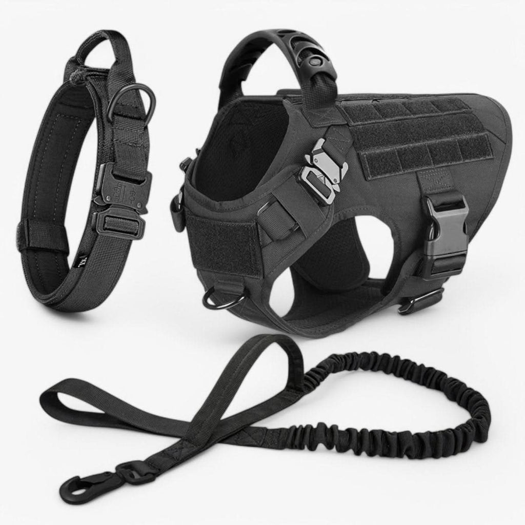 Adjustable Dog Harness for Safe and Comfortable Training
