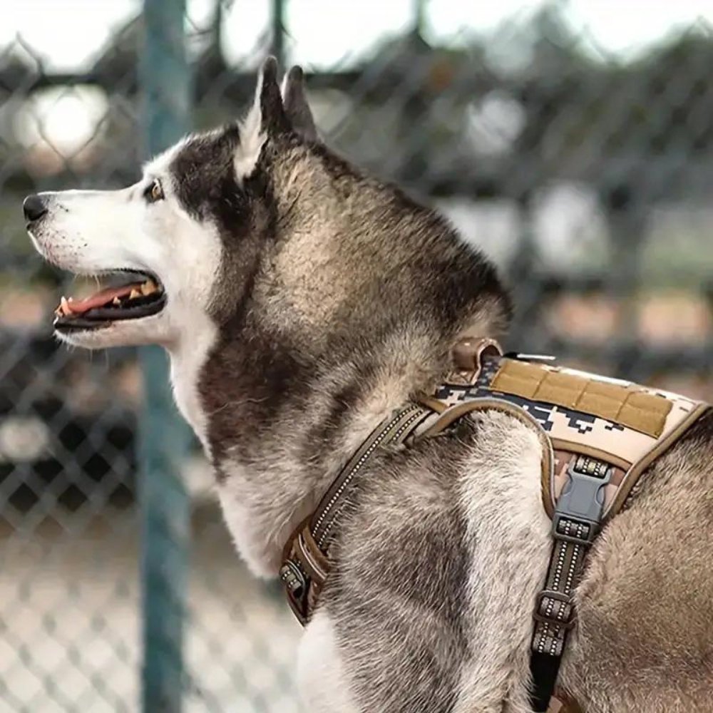TacticalVest - No Pull Dog Harness