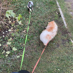 TangleFree - Dual Dog Leash