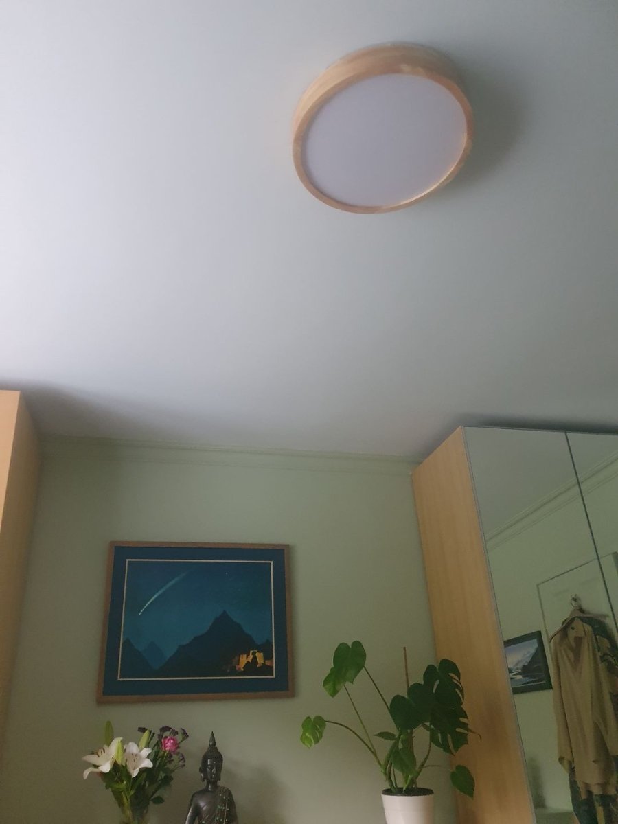 Scandinavian LED Ceiling Lamp with Dimming Function
