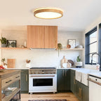 Scandinavian LED Ceiling Lamp with Dimming Function