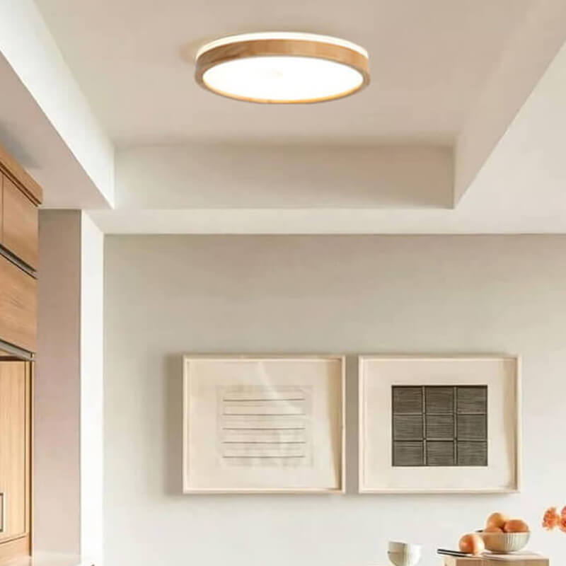 Scandinavian LED Ceiling Lamp with Dimming Function