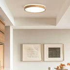 Scandinavian LED Ceiling Lamp with Dimming Function