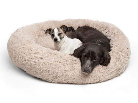 Cozy Dog Bed for Large Breeds – Machine Washable, Calming Design for Ultimate Comfort and Relaxation