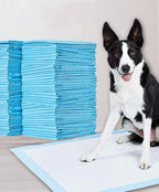 Toilet Training Pads - PeeMaster Pads