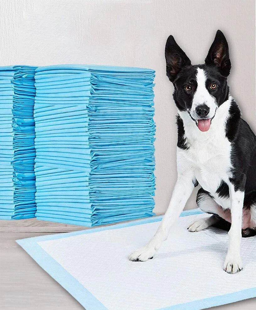 Toilet Training Pads - PeeMaster Pads
