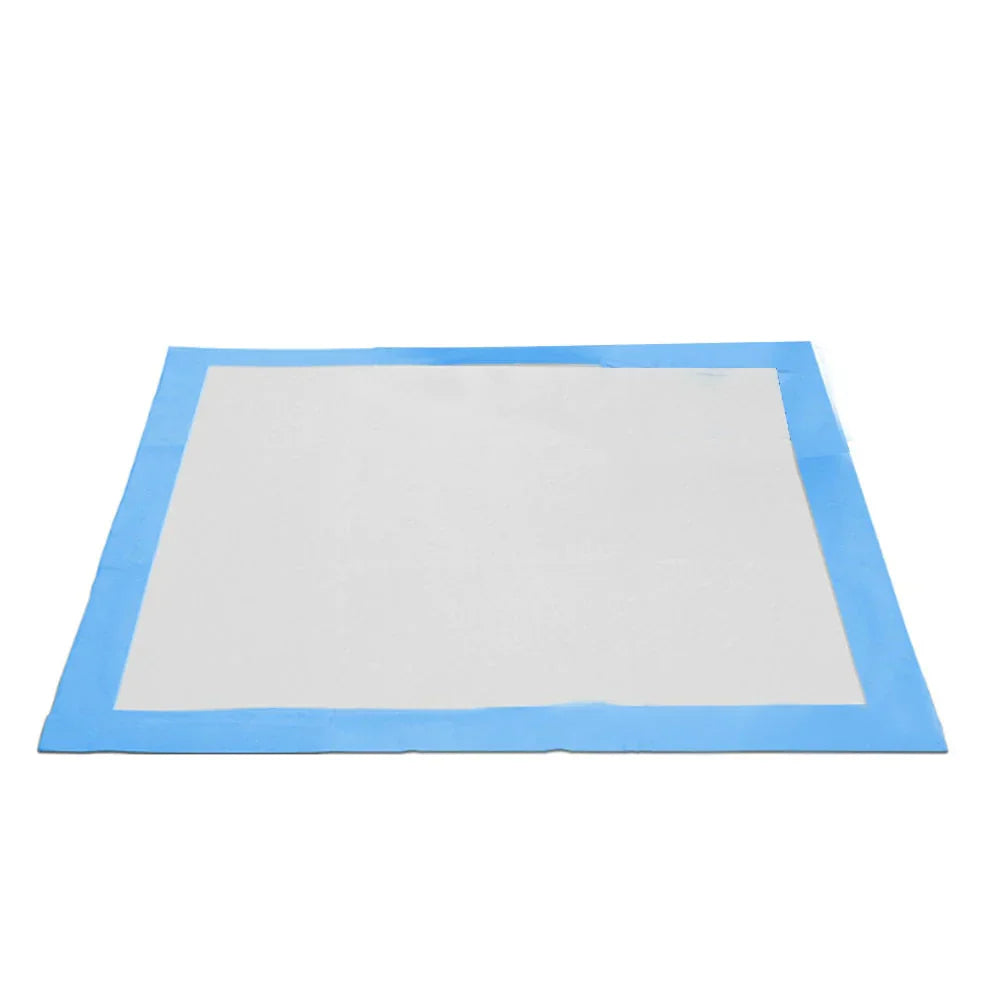 Toilet Training Pads - PeeMaster Pads