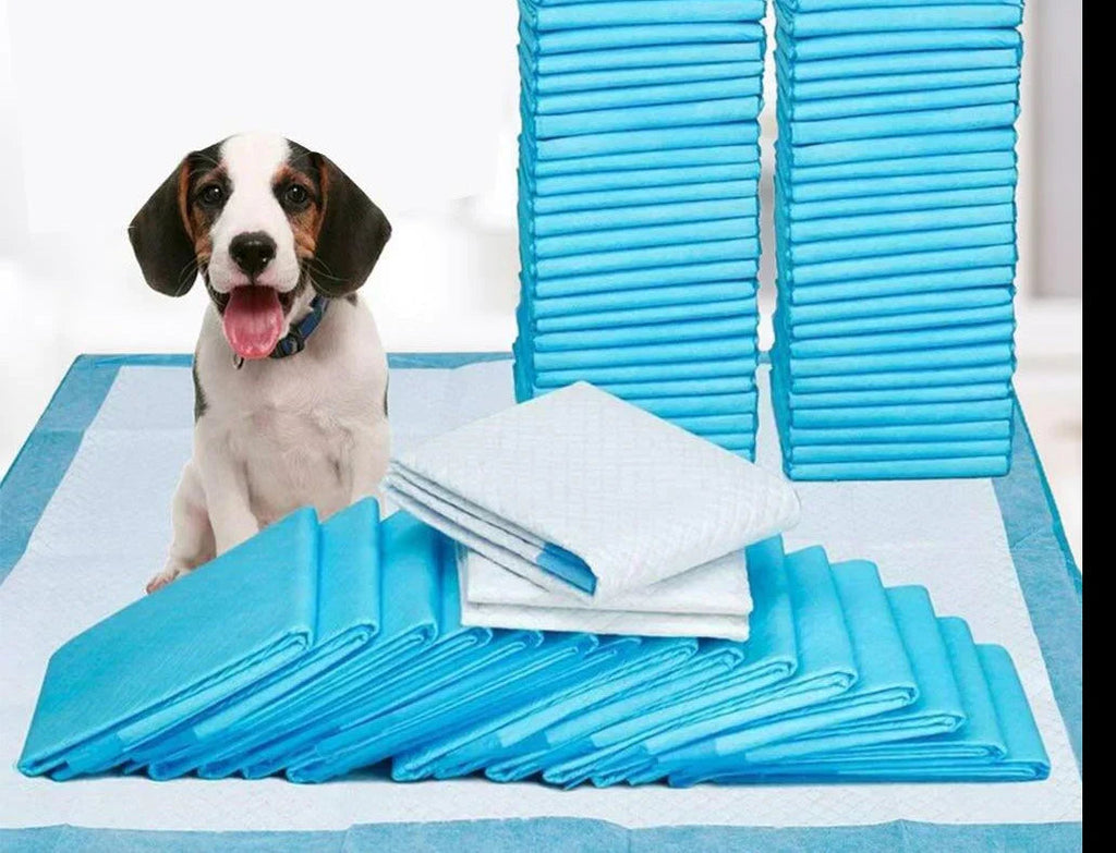 Toilet Training Pads - PeeMaster Pads
