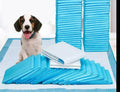 Toilet Training Pads - PeeMaster Pads