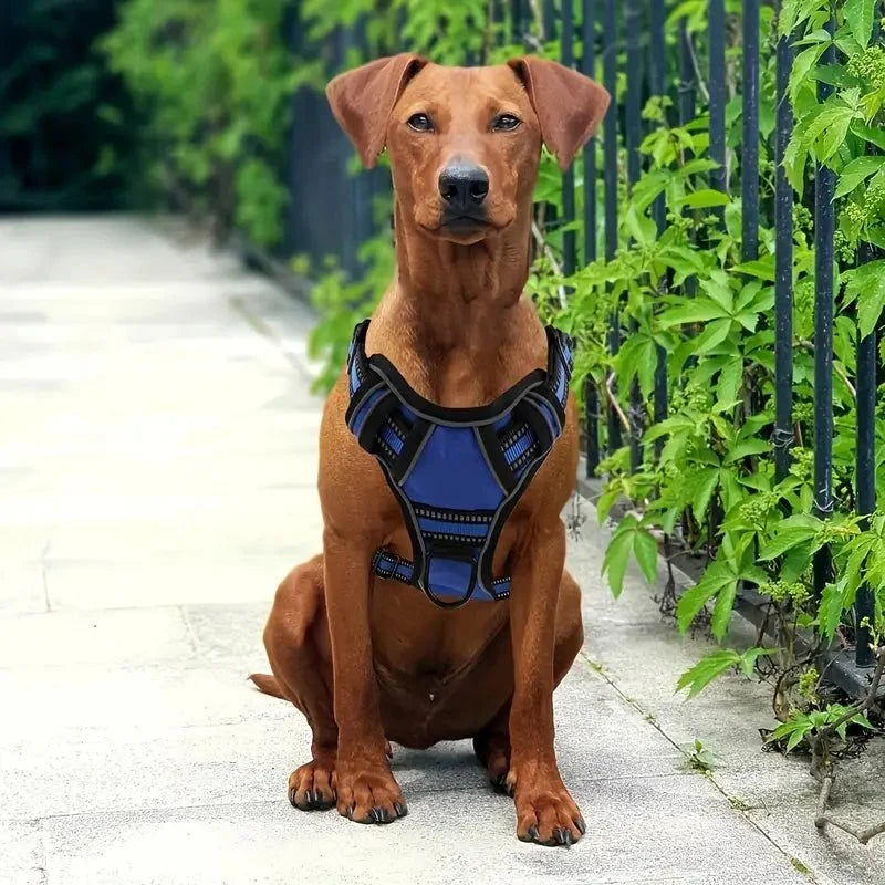 TotalControl - No Pull Dog Harness