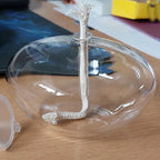Transparent Oil Lamp Made of Glass as Candle Holder