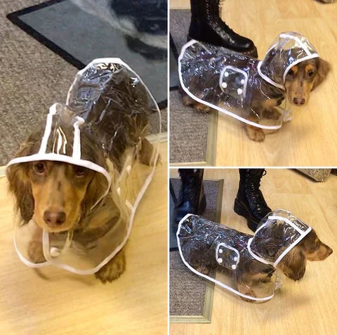 Transparent Waterproof Raincoat for Dogs - DryPaw