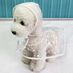 Transparent Waterproof Raincoat for Dogs - DryPaw