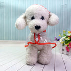Transparent Waterproof Raincoat for Dogs - DryPaw