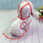 Transparent Waterproof Raincoat for Dogs - DryPaw