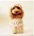 Transparent Waterproof Raincoat for Dogs - DryPaw