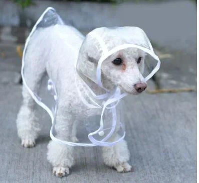 Transparent Waterproof Raincoat for Dogs - DryPaw