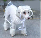 Transparent Waterproof Raincoat for Dogs - DryPaw