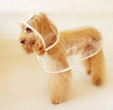 Transparent Waterproof Raincoat for Dogs - DryPaw