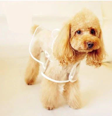 Transparent Waterproof Raincoat for Dogs - DryPaw