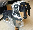 Transparent Waterproof Raincoat for Dogs - DryPaw