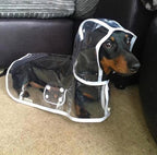Transparent Waterproof Raincoat for Dogs - DryPaw